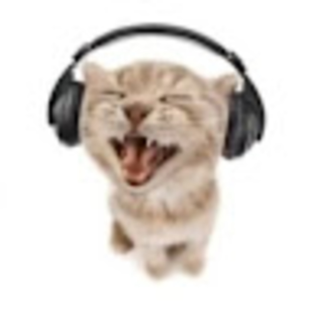 Meet your Posher, Kerian